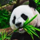 황수진한의원 이미지