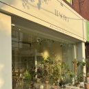 울산 동구 꽃집 테소로 인테리어용 화분 추천🌳또간집💚