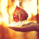 인터넷카페 이미지