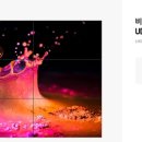 LH치과의원 이미지