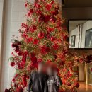 호텔 프랑소와 | 그랜드하얏트 서울 "그랜드 이그제큐티브 스위트 킹" 결혼기념 호캉스 후기 (라운지, 아이스링크)