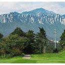 아름다운프라자 이미지