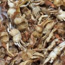 황부자 | 속초 중앙시장 맛집 베이비크랩 새우강정 포장 후기 : 황부자튀김