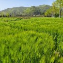 플라워가든 이미지