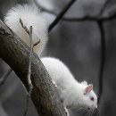 (주)알비노 이미지