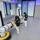 용인대 정무 태권도장 이미지