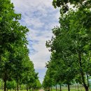 구리둘레길(4코스) 이미지