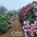 바다가 정원 이미지