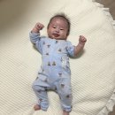 멍뽀인트 이미지