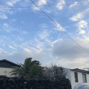 수선화 | 제주 협재 맛집 수선화식당 후기｜제주 3대 파스타 딱새우명란·보말파스타 솔직리뷰