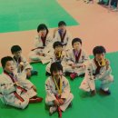 한울태권도교육관 이미지