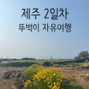 제주여행 2일차. 제주 뚜벅이 자유여행 코스 하와카페 제주민속오일장 인디안썸머애월 추천