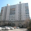 분당-313 이미지