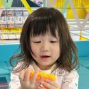 선 (SUN)헤어 이미지