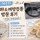 임신 14주차 초음파 후기 | 애플산부인과 방문 &amp; 성별 확인! (아들 추정)