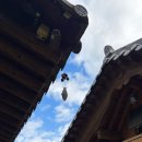 단양충전소 이미지