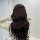 로즈미용실 | 신길동 미용실, 로즈 브라운 염색 후기!!!