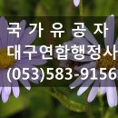 행정사김덕수 이미지