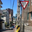 강남 라브리크 주말 런치 후기 | 분위기 좋은 강남 브런치 카페 추천