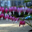 까치울역 2번 출구 이미지