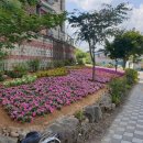 광남2동-2 이미지