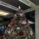 가-63 | 워킹온더클라우드 내돈내산 후기(feat. 63빌딩)