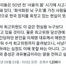 이 보다 통쾌한 글을 쏟아낼 수 있는 정치인이 있을까? 이미지