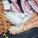 송이네 삼시세끼 이미지