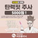 솔빛한방병원 이미지