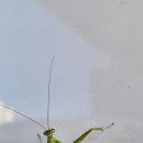 용화점 기아오토큐 이미지