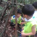 깨금발어린이집 이미지