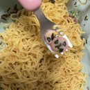 밥안먹는 아이추천,아기국수,아기간식으로 좋은 푸디버디 간장비빕면 시식 후기