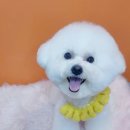 상일축산 이미지