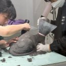 고양이 무마취 미용 냥털도둑 | [대구 달서구] 처음 방문한 대구 고양이 무마취 미용 밀꼬냥에서 첫 미용 성공 후기🎀