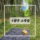 초록마을효천점 | 광주 남구 카페 포충사 근처 베이글맛집 : 소죽림