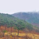 자연숲 펜션 | 강원도 인제 숙소 추천 자연 속 힐링 ‘다온숲 펜션’ 솔직 후기!