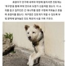 개구멍