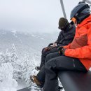 B/F Dog Talk Talk 이미지