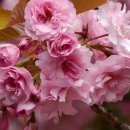 부동산정보와 경매 이미지