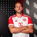 해리시장 이미지