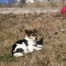 대왕통닭 선운점 | 언제 쉴 수 있을까 :(