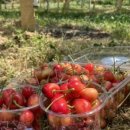 동건농장 이미지