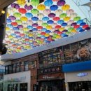 에듀SKY부동산공인중개사사무소 이미지