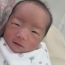 11620-4-6-3 | [아인병원]쌍둥이 제왕절개 출산 3,4,5,6일차 후기 및 제왕절개 총 비용