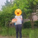 목포 포장 맛집 솜리치킨 목포점 , 가마솥 깨통닭 솔직후기