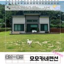 모모카네펜션
