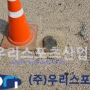 성암국제무역고등학교 이미지