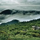덕유산식품 - 부천시 원미구 | 덕유산식품