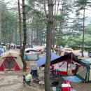 법흥 캠핑장 이미지