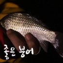 조*락 - 안양시 만안구 충훈로71번길 | 조*락